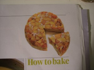 Stone fruit yoghurt cake